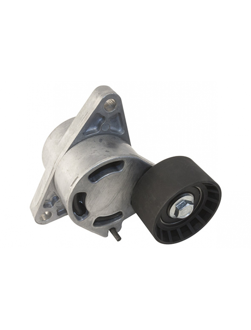 Ролик генератора R 2,2DCi (G9T) 2,5DCi (G9U) натяжной автомат 60mm h31mm