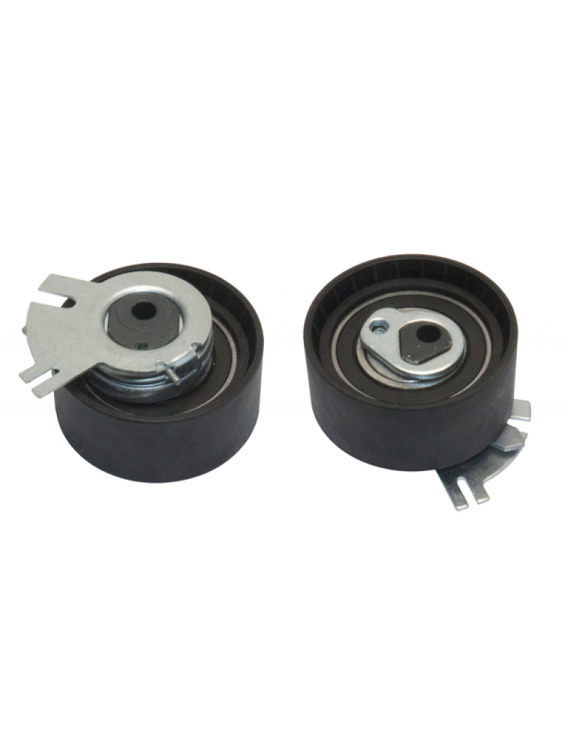 Ролик ГРМ R 2,2DCi (G9T) 2,5DCi (G9U) натяжной