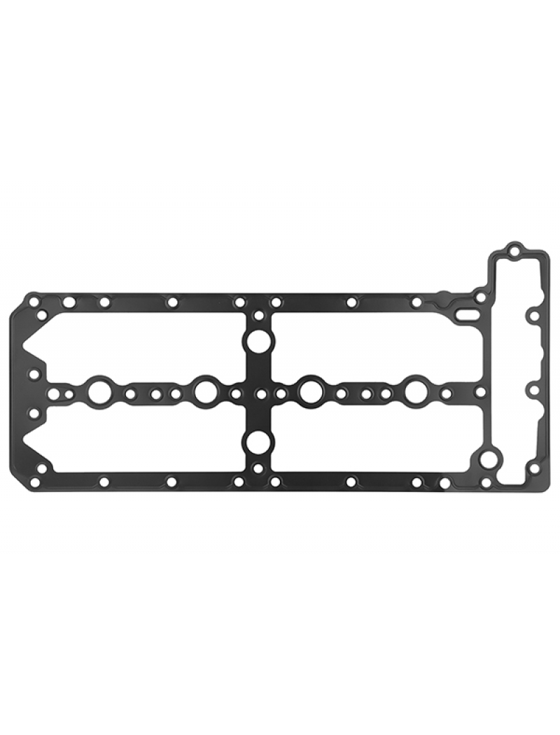Прокладка клапанной крышки F 3,0MJTD (F1C)