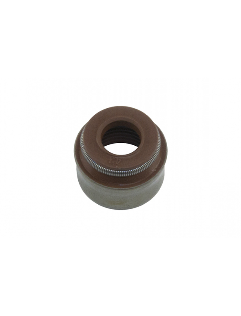 Сальник клапана 6x8,8/12,2x10 P 1,6 16V 2,0HDi 2,2HDi R 1,5DCi 2,2DCi 2,5DCi