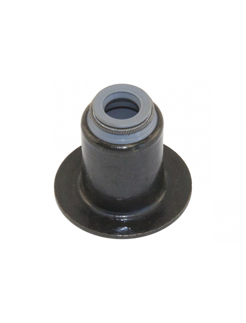 Сальник клапана 6x10/22x19 F 2,3MJTD (F1A) 3,0MJTD (F1C) (500395378)