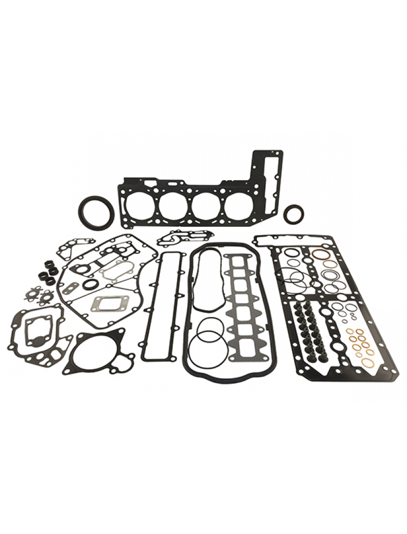 Комплект прокладок Fiat Iveco 3,0JTD (F1C) повний