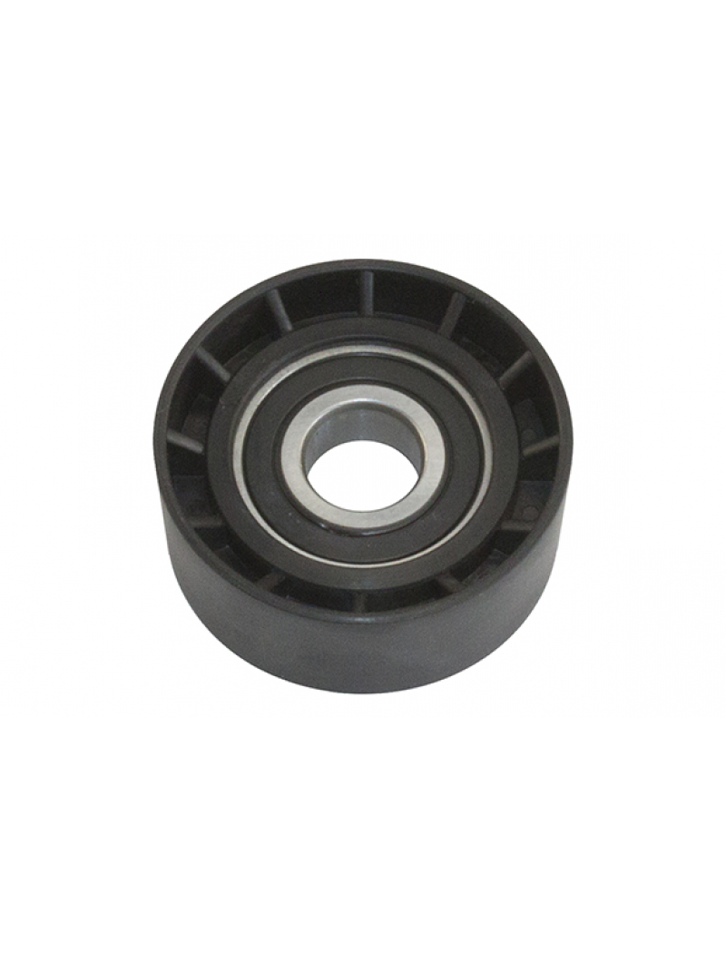 Ролик генератора P 1,9D (DW8) паразитний (575173) 60/17mm h25mm