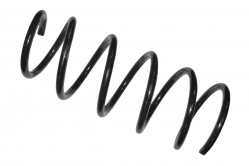 Пружина R Kangoo I Clio II передн