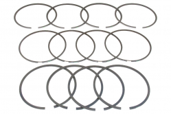 Кольца поршн Iveco 3,0JTD F1CE d=95,8mm std (2,5-2-2,5)