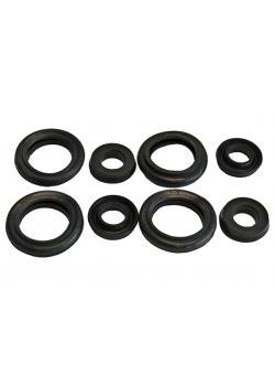 Ремкомплект цилиндра Богдан задний / манжеты /