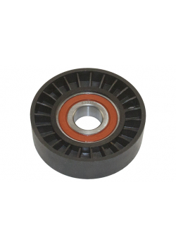 Ролик генератора F 1,4 1,6 (7702173) 80/20mm h23mm кондиционера 1,9TD Ducato