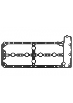 Прокладка клапанной крышки F 3,0MJTD (F1C)