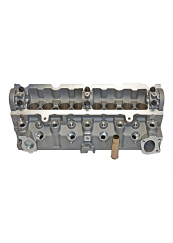 Головка блоку C Berlingo 1,9D DW8 гола